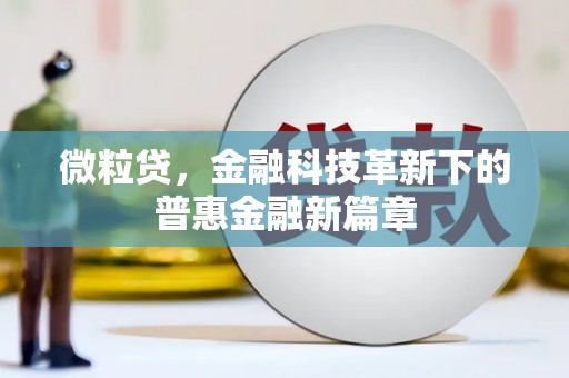 镇雄微粒贷，金融科技革新下的普惠金融新篇章