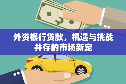 镇雄外资银行贷款，机遇与挑战并存的市场新宠