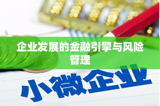 镇雄企业发展的金融引擎与风险管理