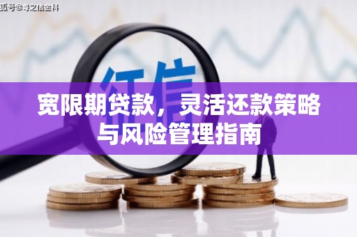 镇雄宽限期贷款，灵活还款策略与风险管理指南