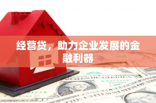 镇雄经营贷，助力企业发展的金融利器