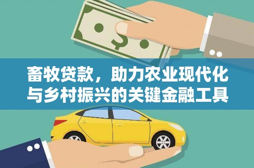 镇雄畜牧贷款，助力农业现代化与乡村振兴的关键金融工具