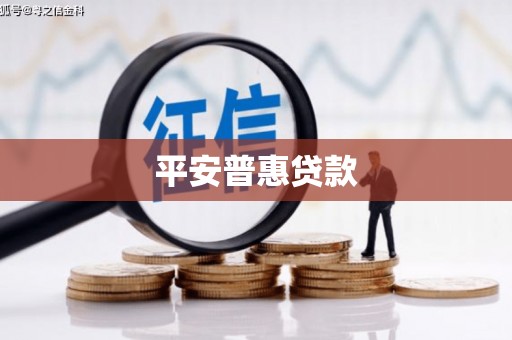 镇雄平安普惠贷款