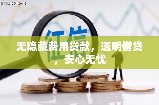 镇雄无隐藏费用贷款，透明借贷，安心无忧