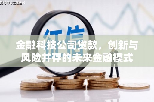 镇雄金融科技公司贷款，创新与风险并存的未来金融模式