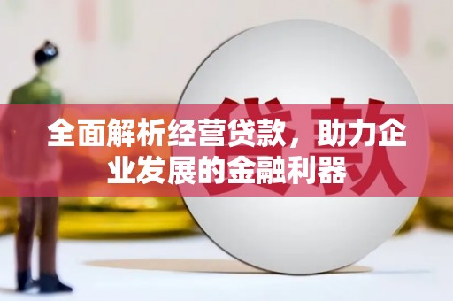 镇雄全面解析经营贷款，助力企业发展的金融利器