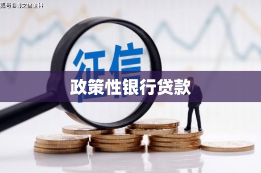 镇雄政策性银行贷款
