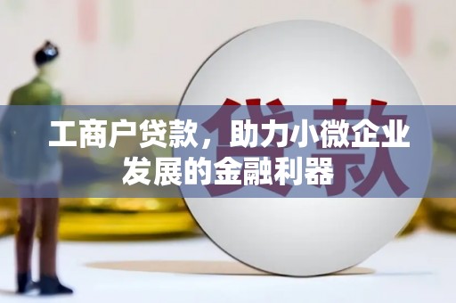 镇雄工商户贷款，助力小微企业发展的金融利器