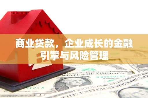 镇雄商业贷款，企业成长的金融引擎与风险管理
