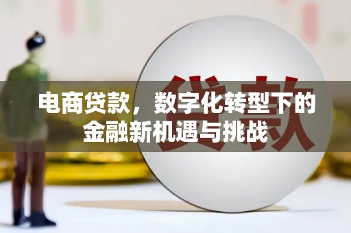 镇雄电商贷款，数字化转型下的金融新机遇与挑战