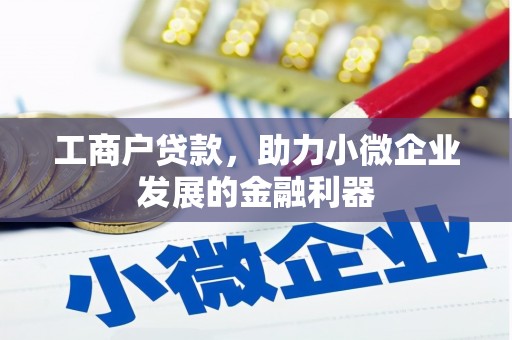 镇雄工商户贷款，助力小微企业发展的金融利器