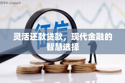 镇雄灵活还款贷款，现代金融的智慧选择