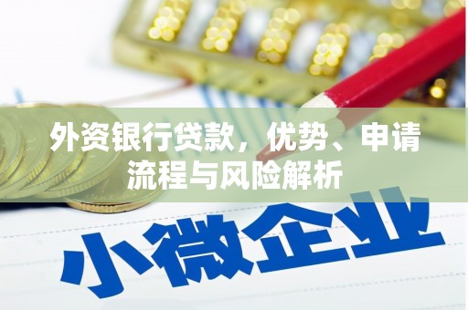 镇雄外资银行贷款，优势、申请流程与风险解析