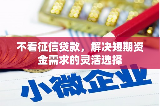 镇雄不看征信贷款，解决短期资金需求的灵活选择