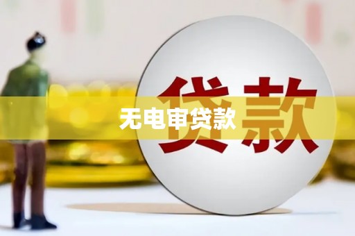 镇雄无电审贷款
