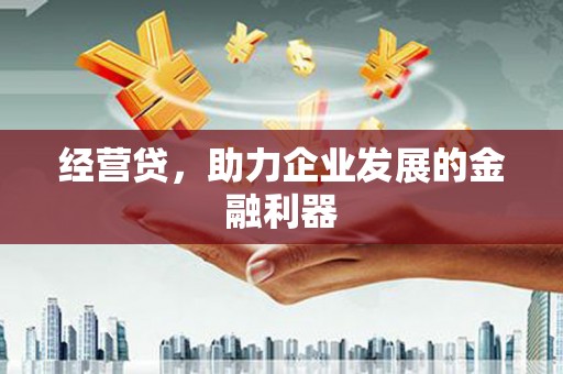 镇雄经营贷，助力企业发展的金融利器