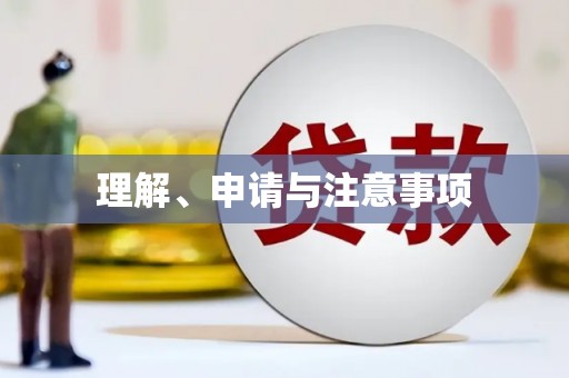 镇雄理解、申请与注意事项