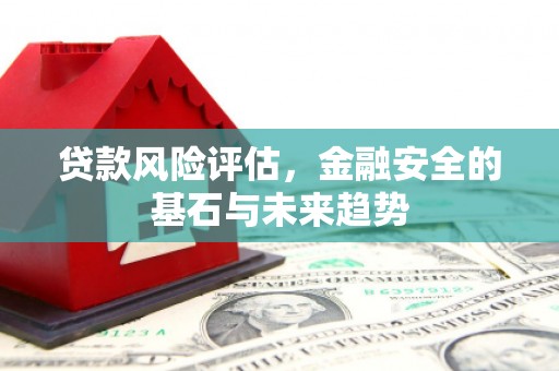 镇雄贷款风险评估，金融安全的基石与未来趋势