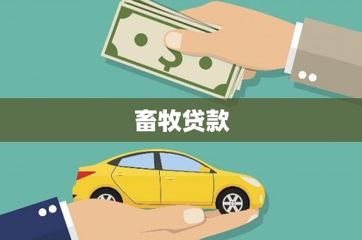 镇雄畜牧贷款