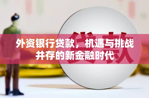 镇雄外资银行贷款，机遇与挑战并存的新金融时代