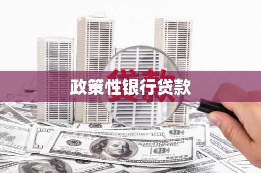 镇雄政策性银行贷款