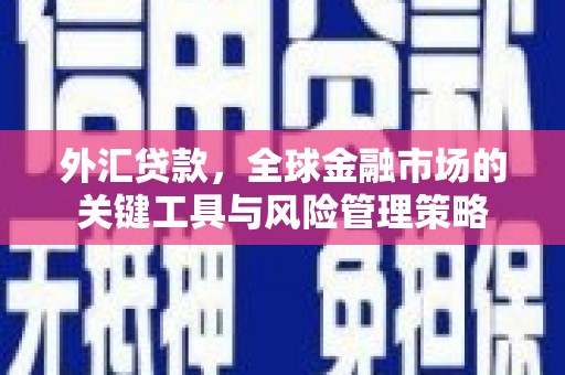 镇雄外汇贷款，全球金融市场的关键工具与风险管理策略