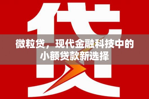 镇雄微粒贷，现代金融科技中的小额贷款新选择