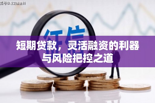 镇雄短期贷款，灵活融资的利器与风险把控之道