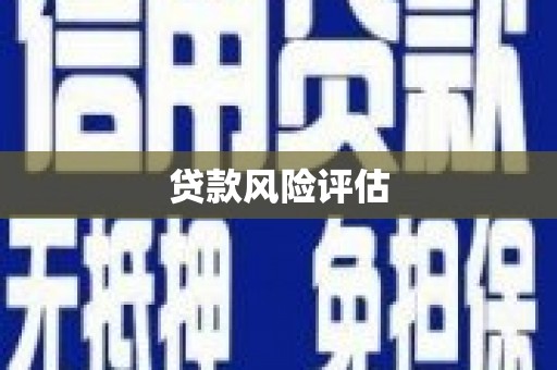 镇雄贷款风险评估