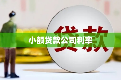 镇雄小额贷款公司利率