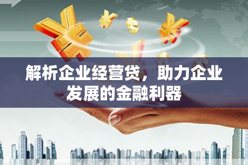 镇雄解析企业经营贷，助力企业发展的金融利器