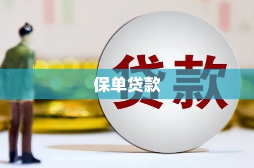 镇雄保单贷款