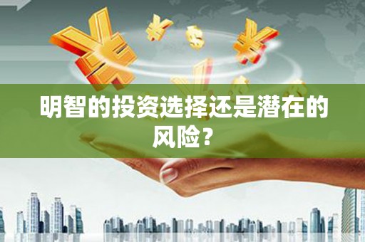 镇雄明智的投资选择还是潜在的风险？