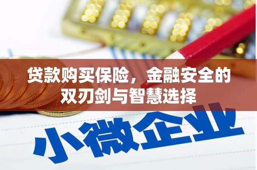 镇雄贷款购买保险，金融安全的双刃剑与智慧选择