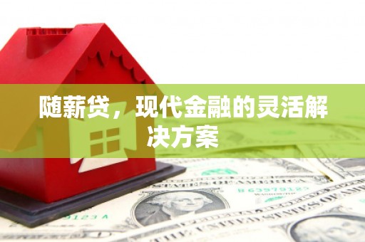 镇雄随薪贷，现代金融的灵活解决方案