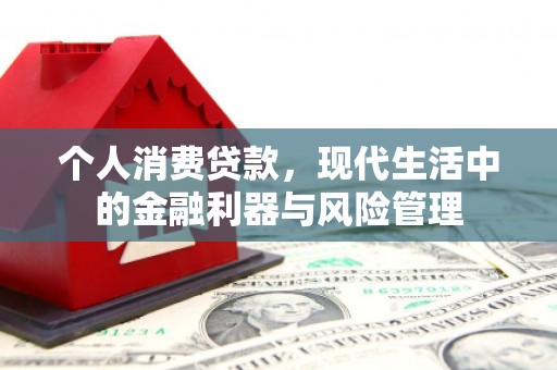 镇雄个人消费贷款，现代生活中的金融利器与风险管理