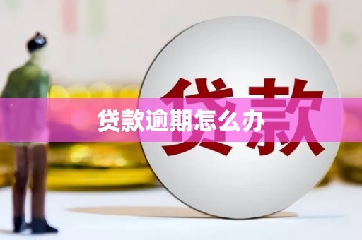 镇雄贷款逾期怎么办