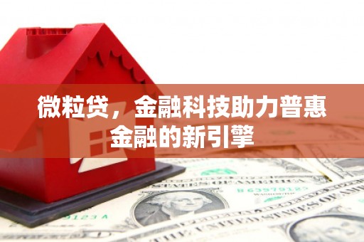 镇雄微粒贷，金融科技助力普惠金融的新引擎