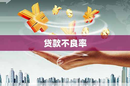 镇雄贷款不良率