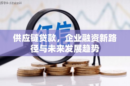 镇雄供应链贷款，企业融资新路径与未来发展趋势