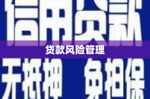 镇雄贷款风险管理