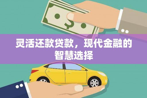 镇雄灵活还款贷款，现代金融的智慧选择