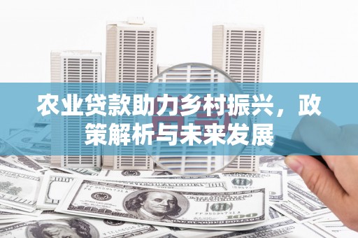 镇雄农业贷款助力乡村振兴，政策解析与未来发展