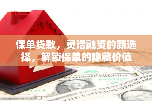 镇雄保单贷款，灵活融资的新选择，解锁保单的隐藏价值