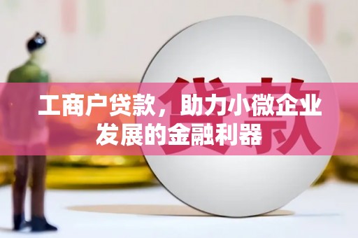 镇雄工商户贷款，助力小微企业发展的金融利器