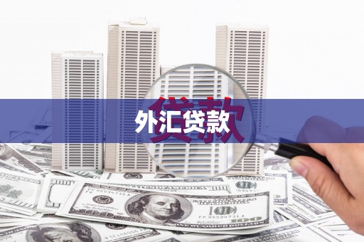 镇雄外汇贷款