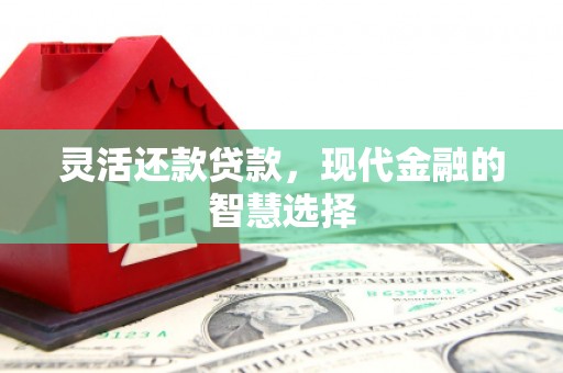 镇雄灵活还款贷款，现代金融的智慧选择