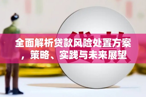 镇雄全面解析贷款风险处置方案，策略、实践与未来展望