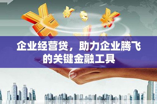 镇雄企业经营贷，助力企业腾飞的关键金融工具