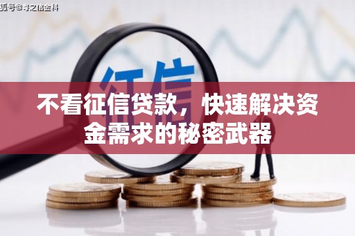 镇雄不看征信贷款，快速解决资金需求的秘密武器